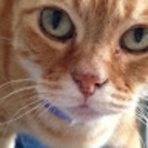 Meet your Posher, Cheryl